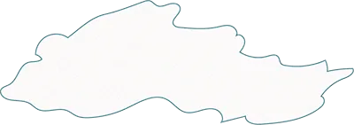 Open API